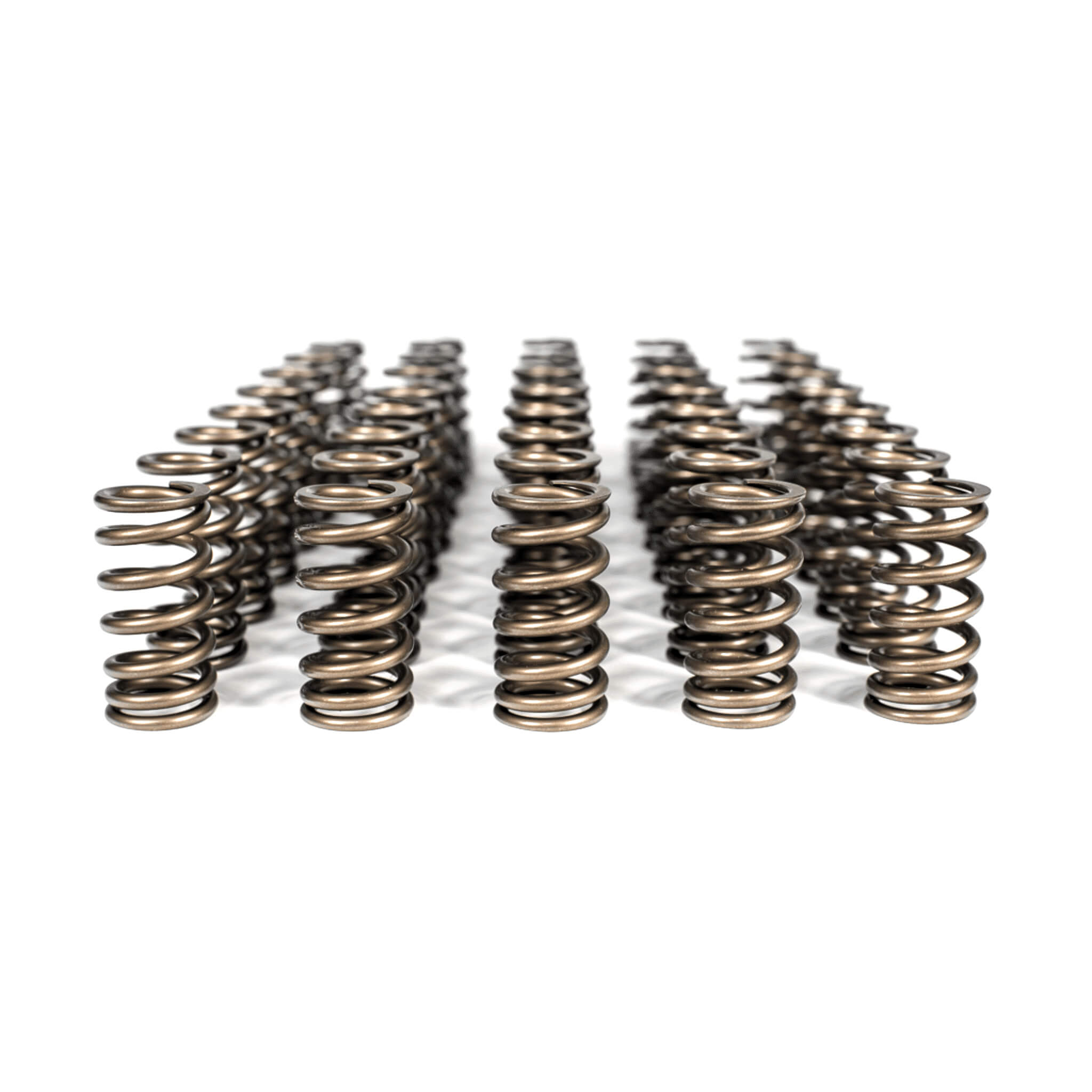BMW M5/M6 Valve Spring Kit S85